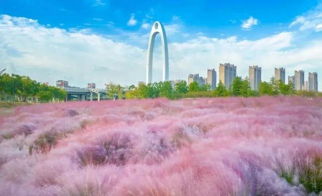 江北“粉粉哒”打卡地图~请查收