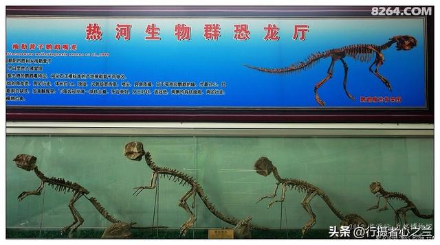 山东行游影记（26）—平邑天宇自然博物馆（一）