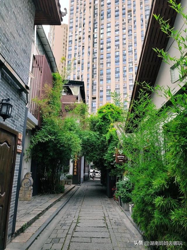 官宣！2025省级亲子宝地出炉！专治遛娃没头绪