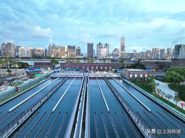 寻迹杨浦，这场Citywalk干货满满