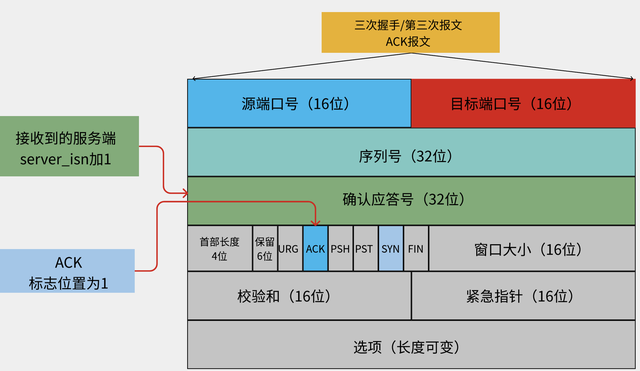 Web开发相关工作必须理解Http及Tcp的基础原理