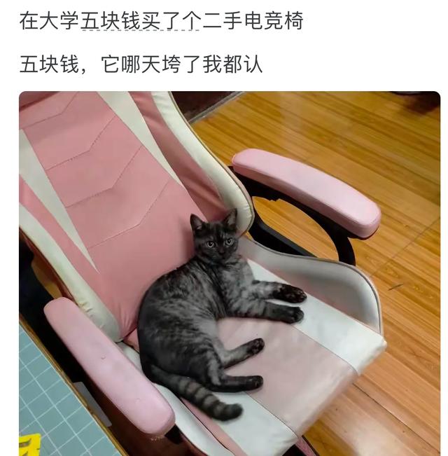 什么东西你能接受二手的？网友：只要性价比合适，没啥不可以二手