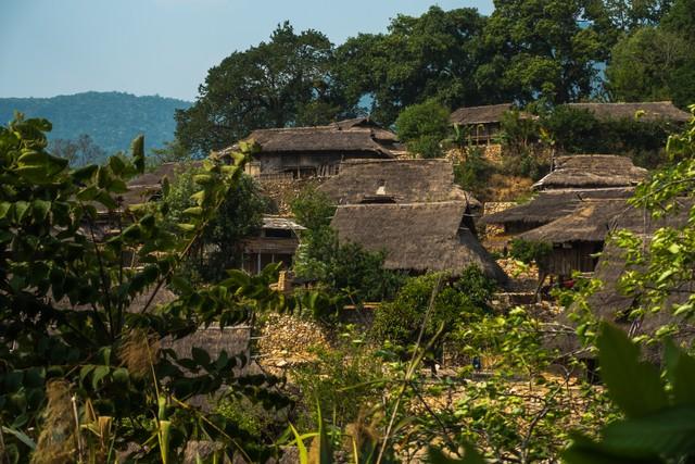 逃离冰冷洞穴，开启“巢”时代：古巢居的秘密大揭秘！
