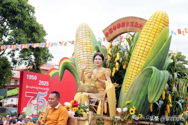 中缅胞波狂欢节刷屏了！牛车巡游、文化展演……瑞丽今天全城沸腾