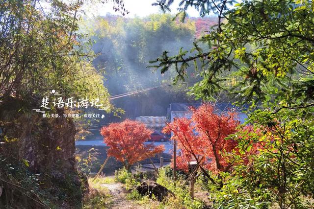 宁波这处秋色又到最美时刻，4条古道串联起近10个村庄，值得推荐