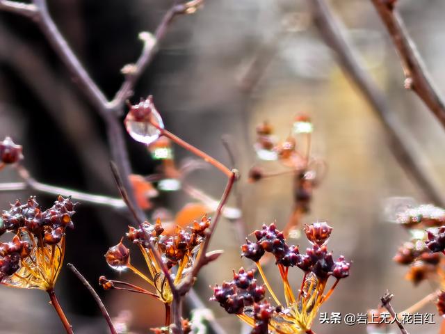 长城徒步之95：赤城万水泉村至琵琶村长城，遇42眼护城墩和圆楼