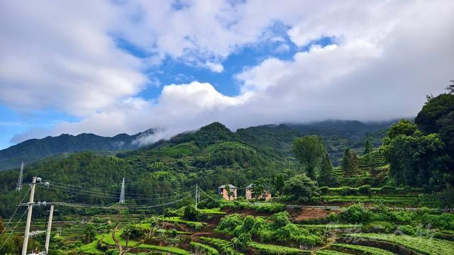 皖浙摩旅二人转——松阳杨家堂篇（下）