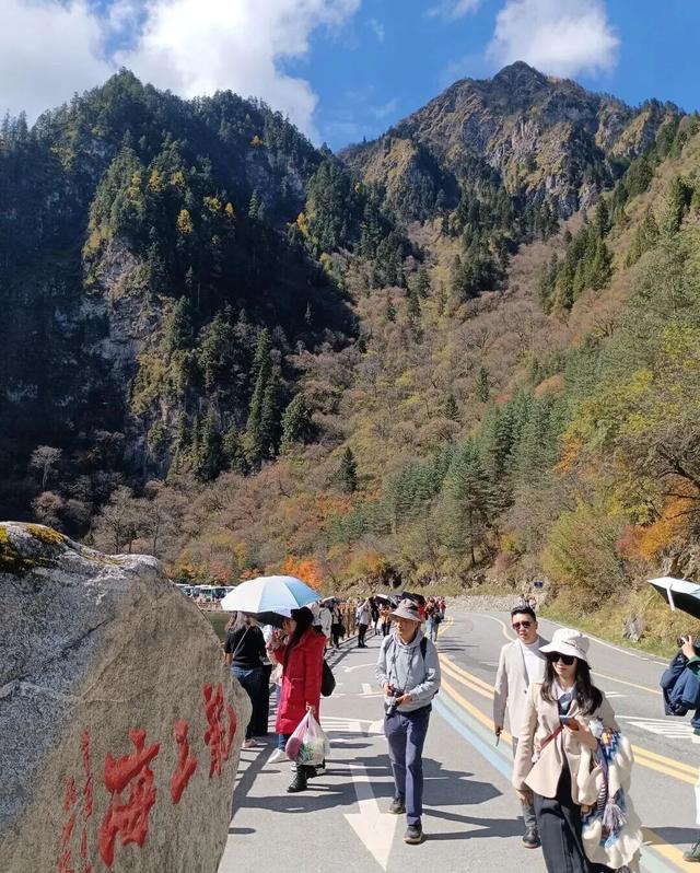 【美丽四川】美哉毕棚沟 好景缘森林‖管恒庆