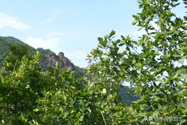 河北百草畔（上）：风动孤石悬险韵，蚁巡深岭蕴生机
