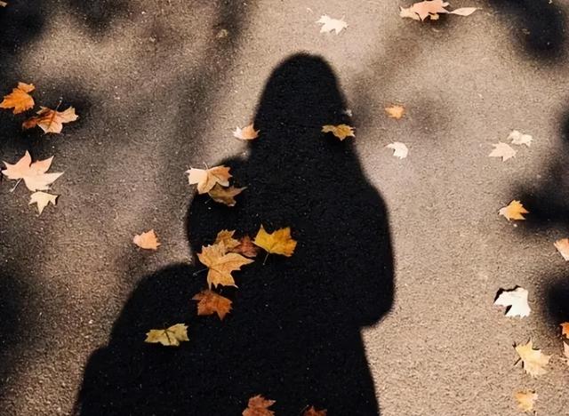 颠覆认知！10厘米小鸟竟有三层朋友圈	，社交逻辑和人类神同步？