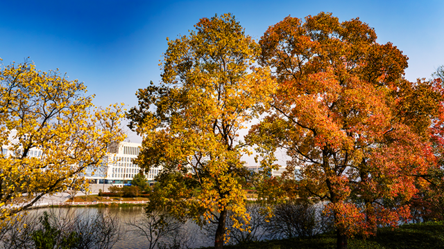 图说遂平：锦绣斑斓醉秋光