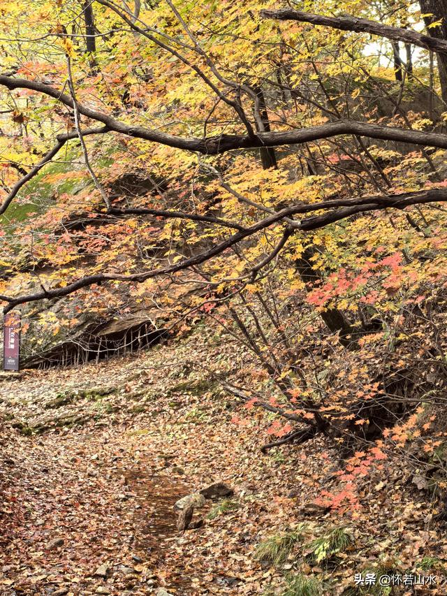 2025辽宁赏秋之旅日记(3)——游览洋湖沟和老边沟