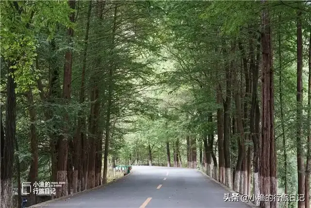 陕南秦岭自驾，偶遇秦岭腹地工程奇迹，让人感慨、感动