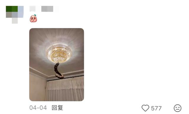 这可能是我买过的最离谱的特产: