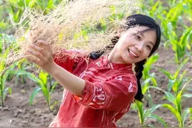 农村老话:“人过五坎必长寿”，五坎指的是啥？有没有道理图片