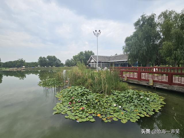 走，一起露营吧，有湖有水有帐篷，有花有景有乐趣