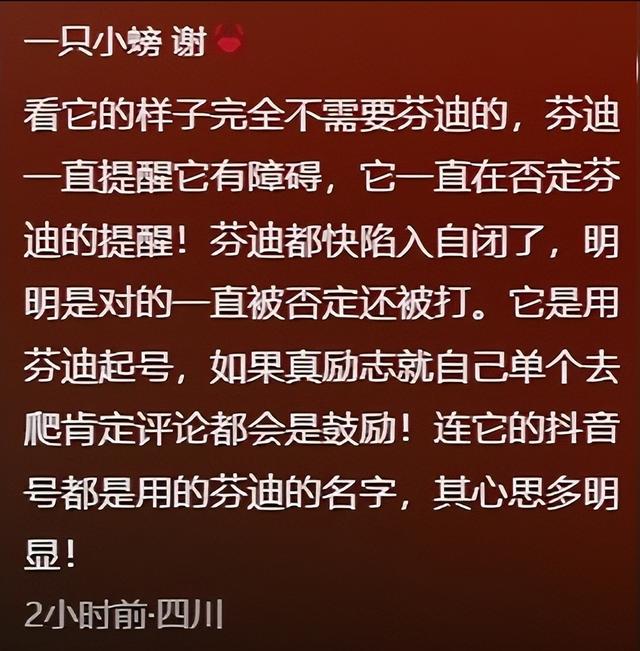 带导盲犬爬泰山的夫妻被网友批评，导盲犬芬迪看着非常累