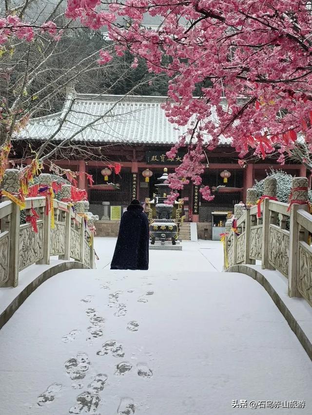 冬访赤山：当山海褪去色彩，风骨与暖意正当时