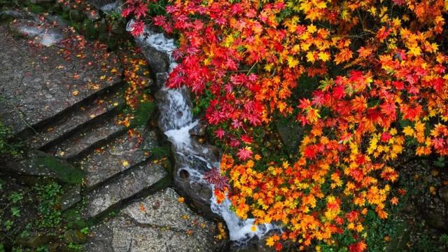 这样的济南，第一次见！