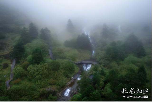 迷雾森林-探秘轿子山