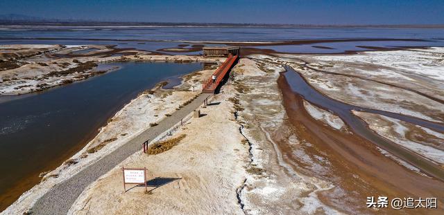 “大雪”时节的景泰盐沼湿地