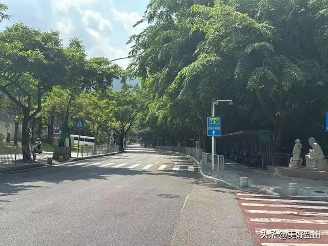 盐田林荫道，永远是封神的存在