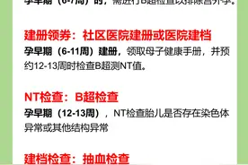 孕期不同时期的重要孕检【孕早期、孕中期、孕晚期】图片