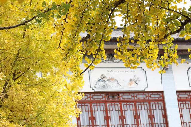 大理古城“金”彩上线！