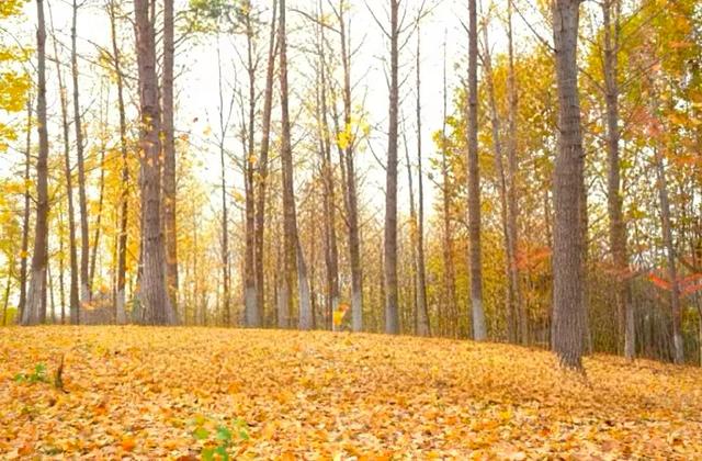 刷屏京津冀朋友圈!这个宝藏地超chill~