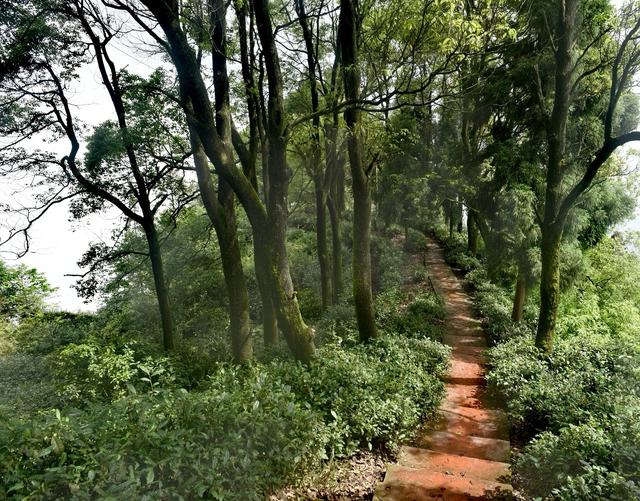 神奇骆崃山 ， 99匹骏马想与你相见