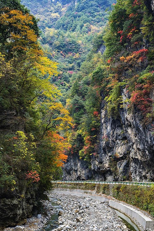 2024深秋四川行19 神农架风景区2 华中屋脊的五彩秘境