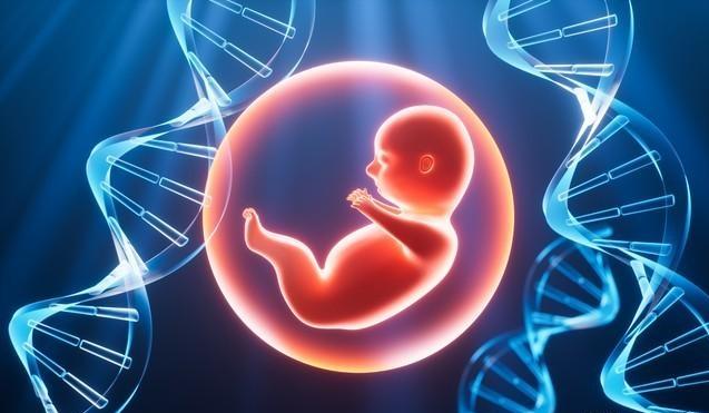 2026生育新政，不生不行了！