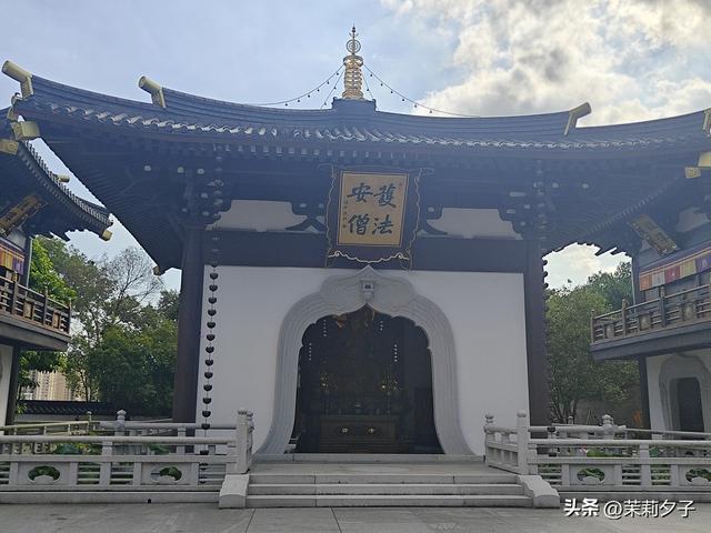 福鼎市区一日游：从白茶发源地到市井小吃赏唐风建筑品山海韵味