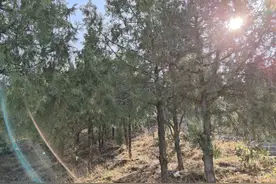 生活笔记——得疱疹的前后经历（二）负隅顽抗的疱疹病毒图片