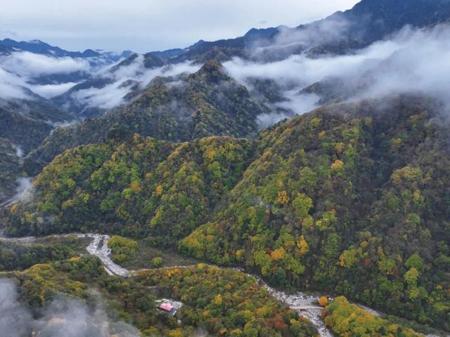 当唐家河“搬”进南京城：一场跨越千里的自然邂逅
