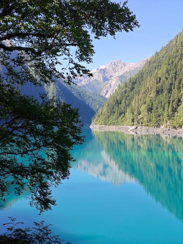 海子映山，绿意漫岸，九寨沟牌“净化器”已上线~