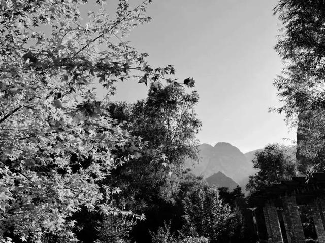 去捕捉秋的痕迹，一键点亮贵清山遮阳山景区的秋天！