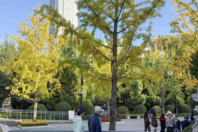 太原市迎泽区：府城漫步｜满城色彩绘就秋日画卷