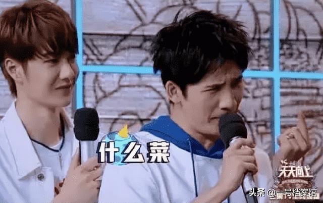 狐狸尾巴藏不住，撒谎成性、风流潇洒的张柏芝，被陈晓东撕下体面