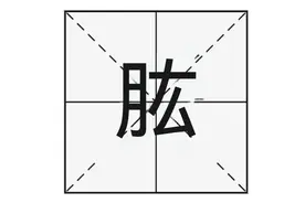 “股肱心膂”的“肱”字怎么读？又是什么意思呢？图片