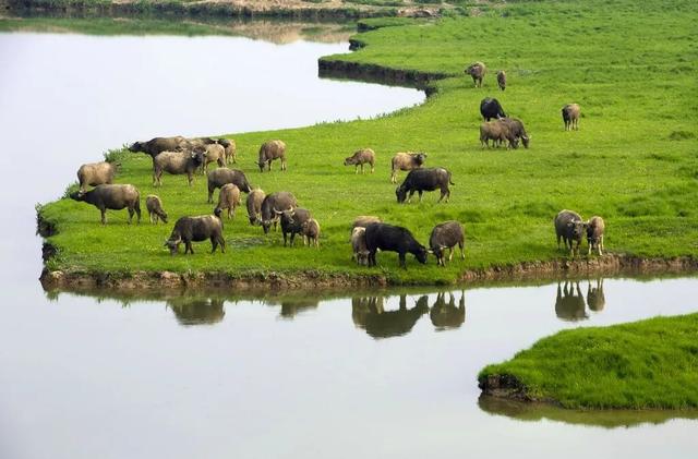 致阿湘：我划船来接你啦～