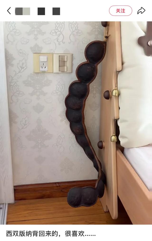 这可能是我买过的最离谱的特产: