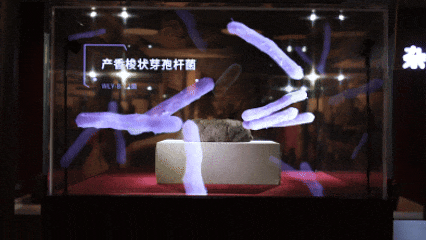 万里长江第一城，何处最“宜宾”？501的答案藏着千年烟火与团圆味