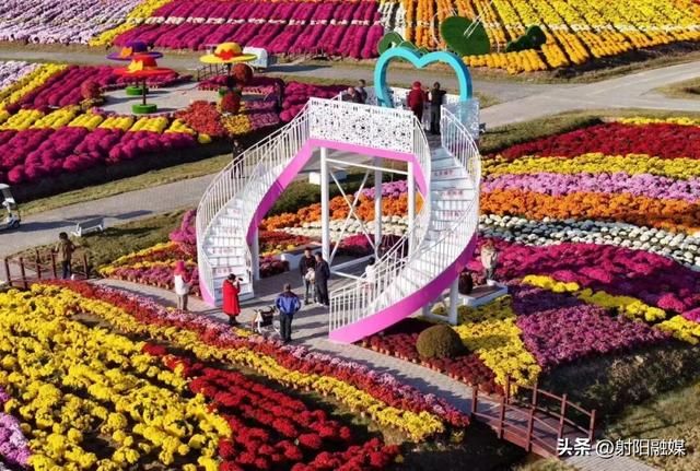 射阳秋冬顶流！出片率100%