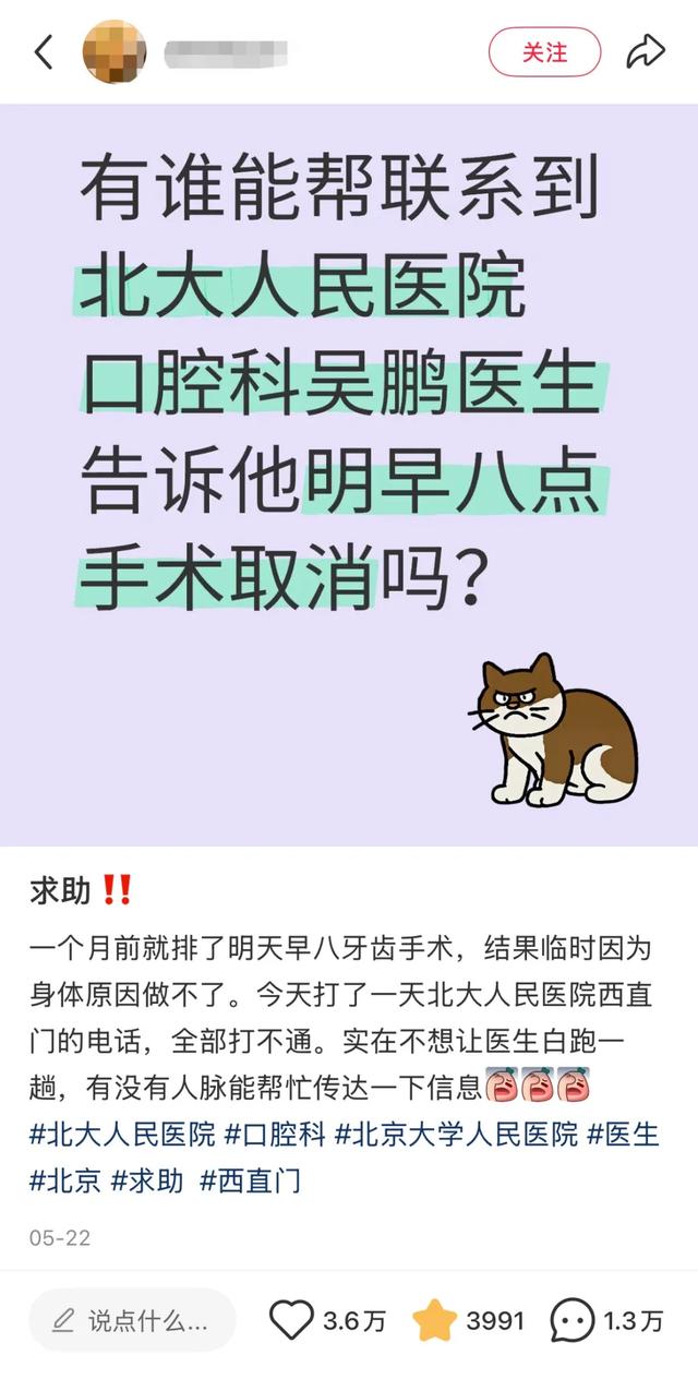 小红书，普通人的奇遇之地