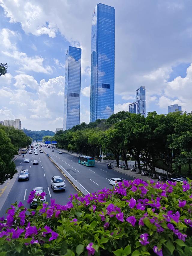 超大城市空气质量第一城，深圳的天空有多美？