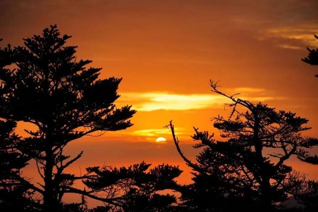 划得来！秋天来西岭雪山看彩林，门票直接免了！