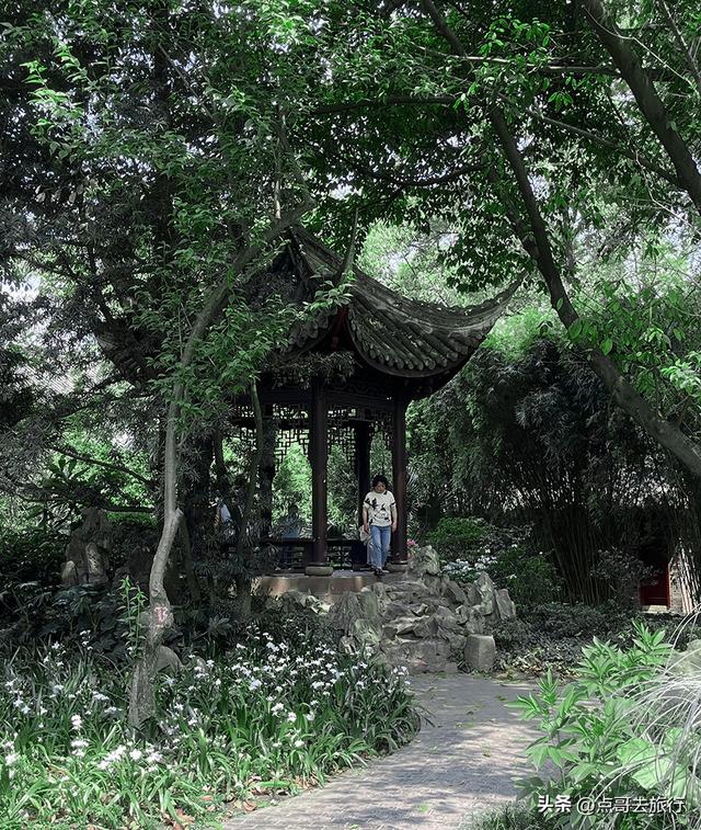 成都主城区老牌公园，最适合乘凉避暑，超级舒服，地铁公交直达！