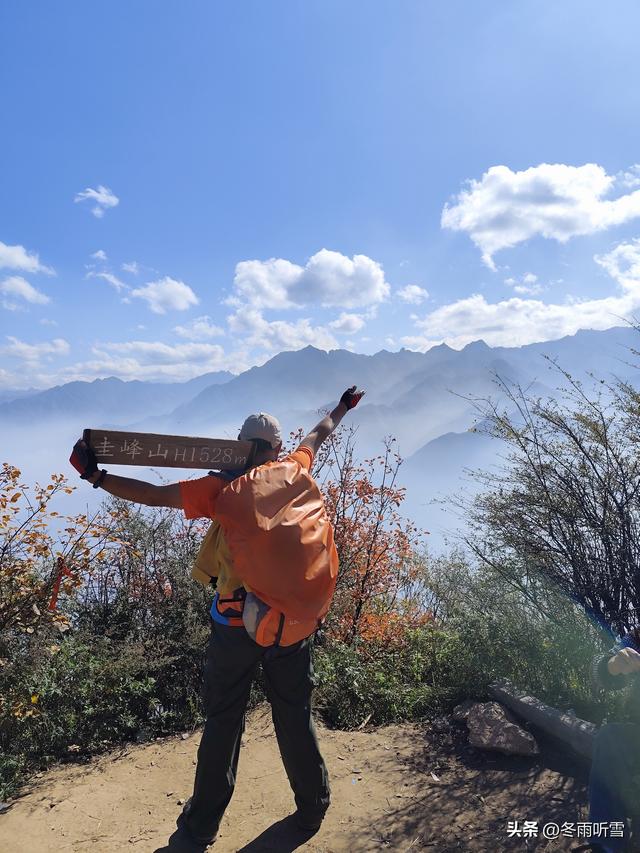 又见山山红叶飞