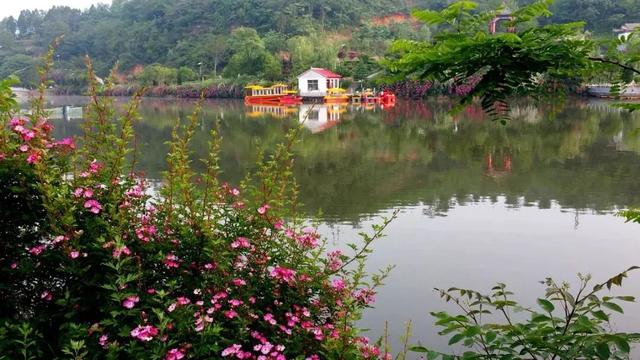 泰湖之美，不止四季！